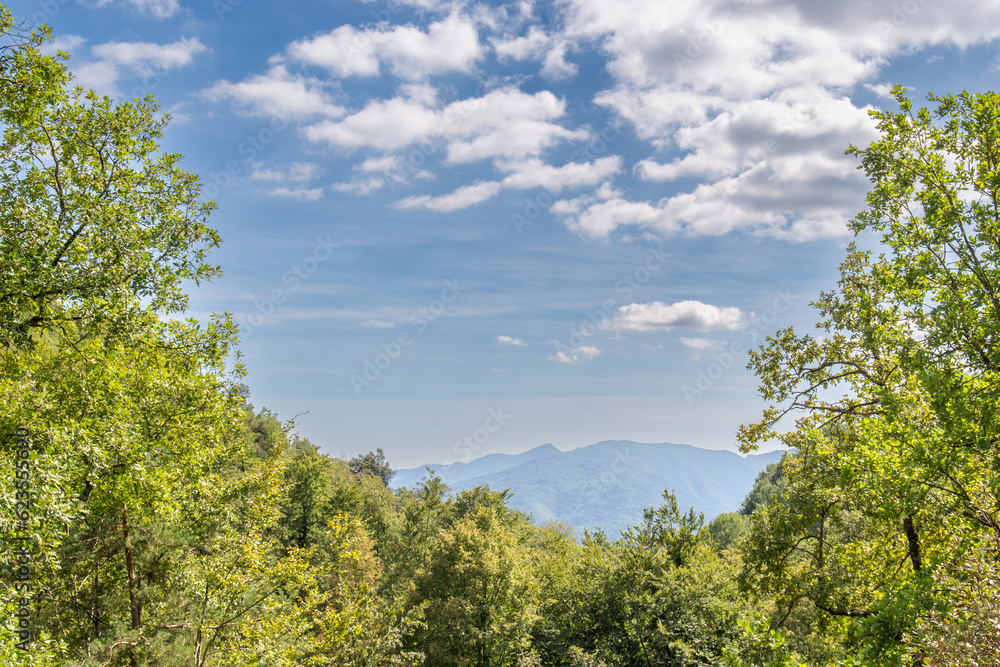 Mountains seen from the forest clearing in the mountains of Catalonia, in Spain, a clear sky day with some clouds Mountains seen from the forest clearing in the mountains of Catalonia, in Spain, a clear sky day with some clouds