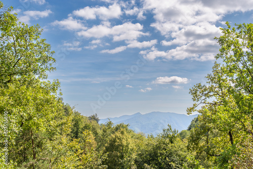 Mountains seen from the forest clearing in the mountains of Catalonia  in Spain  a clear sky day with some clouds