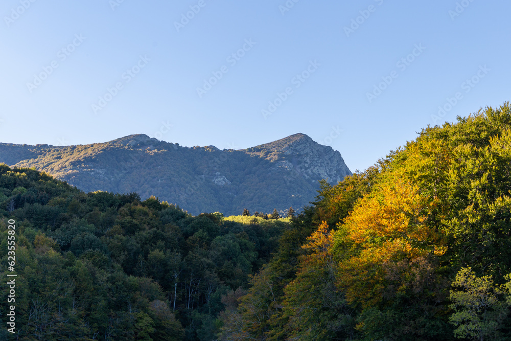forest during sunset, where you can see the colored trees during sunset and the sun in the mountains in a natural park in Catalonia