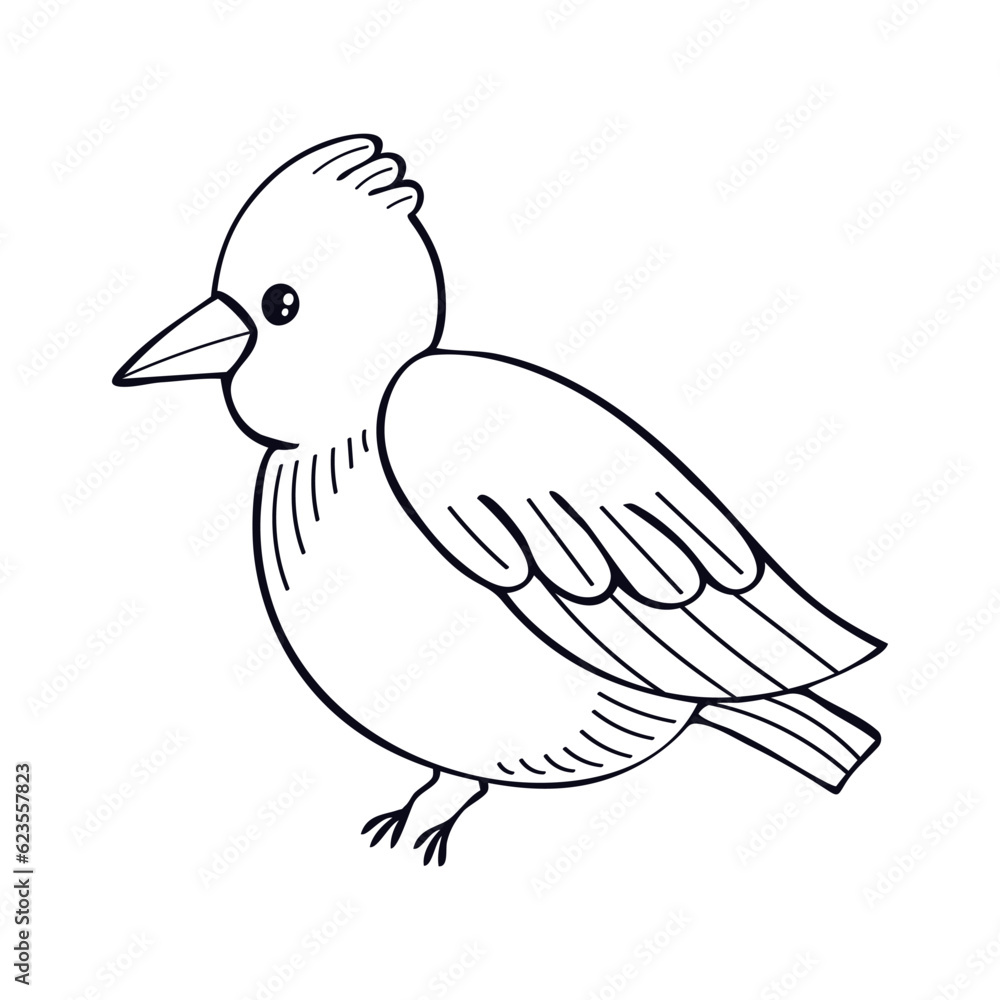 Obraz premium Bird line art. Cute little forest bird. Exotic feathered. Hand drawn vector sketch illustration.