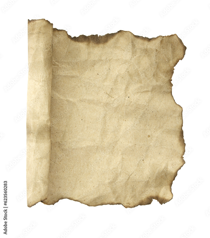 Old paper scroll. isolated with clipping path for mockup