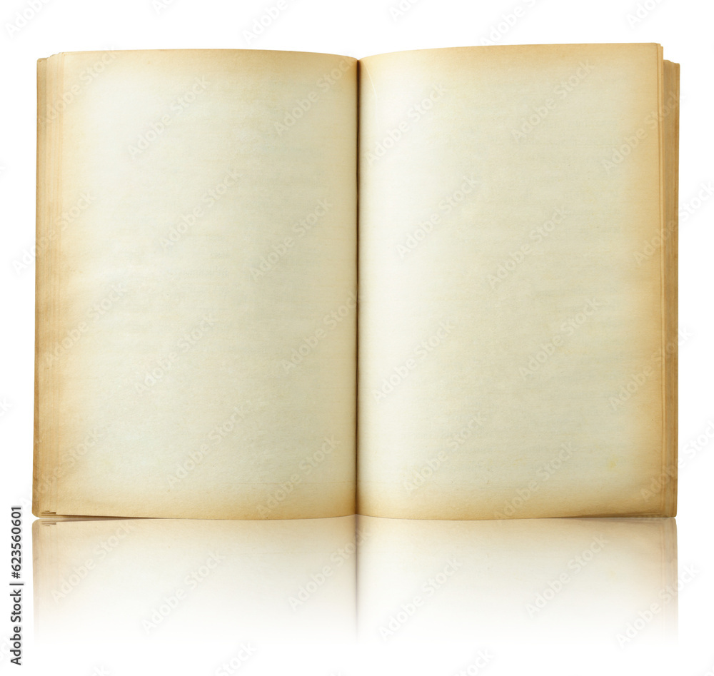open old book isolated with reflect floor for mockup open old book isolated with reflect floor for mockup