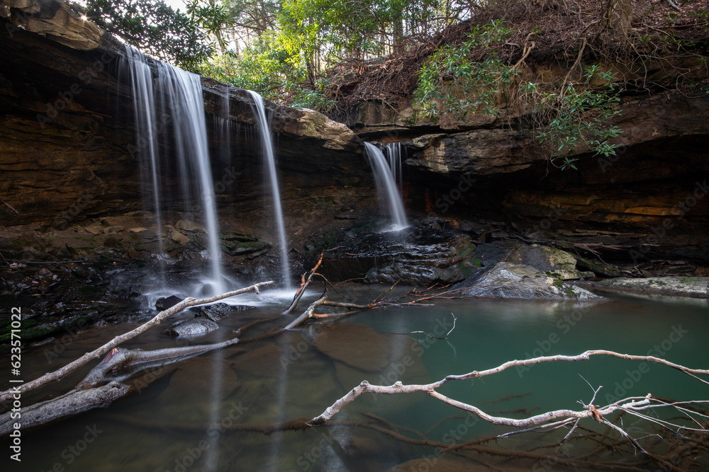 Obraz premium waterfall in the forest