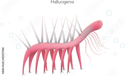 Hallucigenia is an extinct genus of aquatic animal lived in a Cambrian period photo