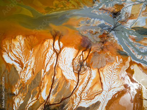 Geamăna , Alba county, Transylvania, Romania. Following the mining operations, the village was transformed into a tailings lake and covered with tailings, known as the Geamăna natural disaster photo