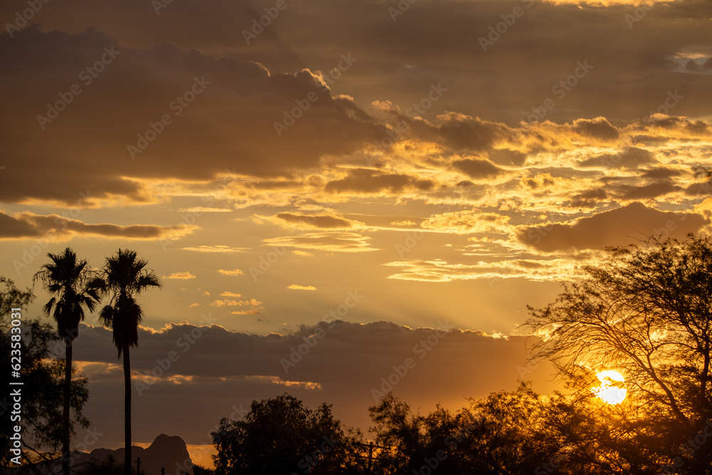 A beautiful sunset in the American Southwest. Twin palm trees, crepuscular rays, colorful clouds and with a summer vibe. Pima County, Tucson, Arizona, USA.