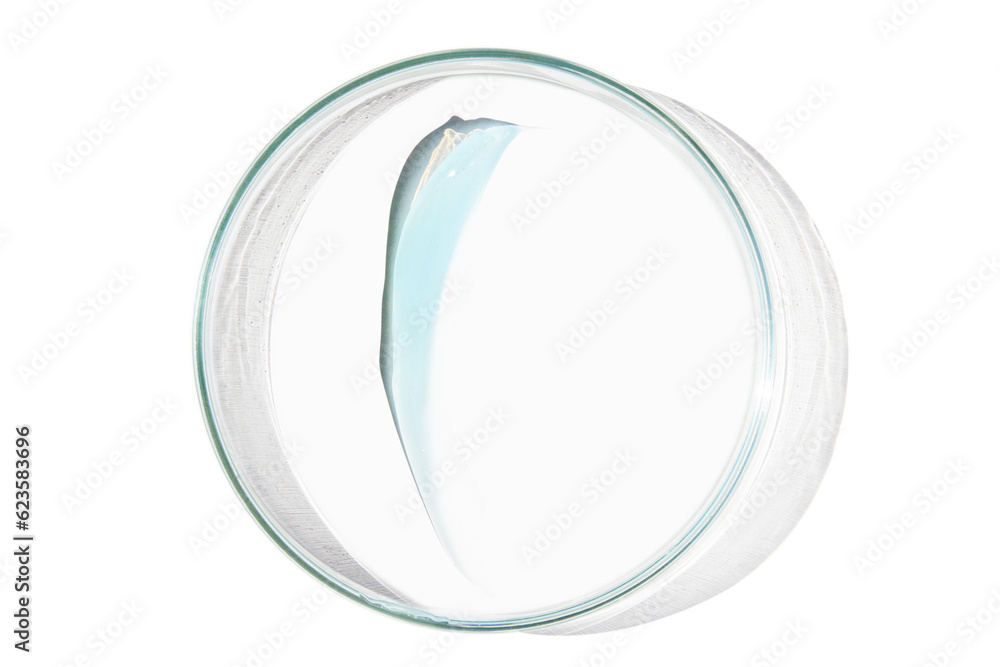 Petri dish with a drop and a smear of a transparent gel or serum on an empty background. Petri dish with a drop and a smear of a transparent gel or serum on an empty background.