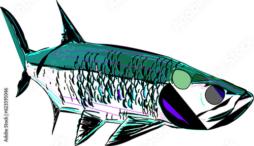 A modern comic like full colored Tarpon fish 