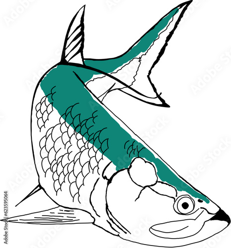A Green and White Tarpon Fish