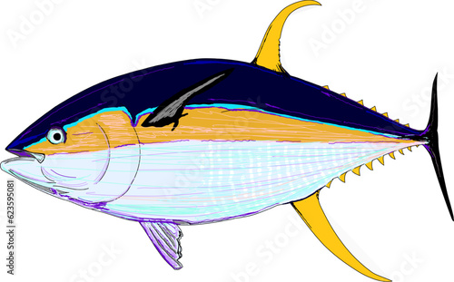 A beautiful artsy colored Yellowfin Tuna fish