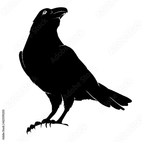 crow