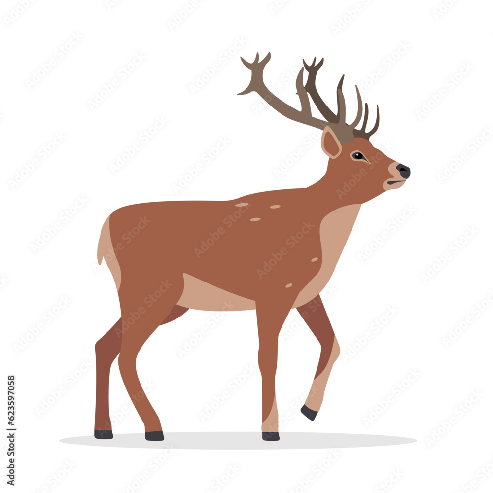 Deer icon. Horny deer, fawn, spotted reindeer. Wild forest animal of Europe, America and Scandinavia with big horns. Flat vector illustration isolated on white background. Deer icon. Horny deer, fawn, spotted reindeer. Wild forest animal of Europe, America and Scandinavia with big horns. Flat vector illustration isolated on white background.