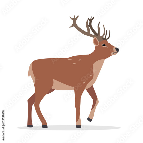 Deer icon. Horny deer  fawn  spotted reindeer. Wild forest animal of Europe  America and Scandinavia with big horns. Flat vector illustration isolated on white background.