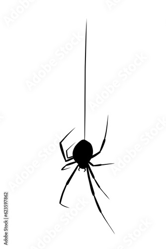 hanging spider silhouette