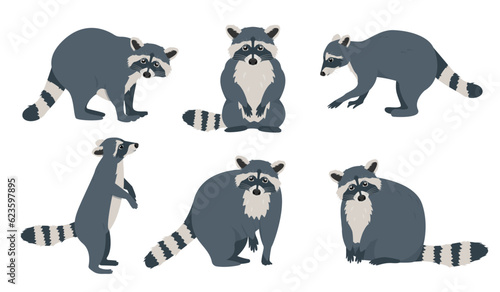 Set of raccoon icons in different poses. Wild mammal forest animals characters. Raccoons with striped tails. Vector illustration on white background.