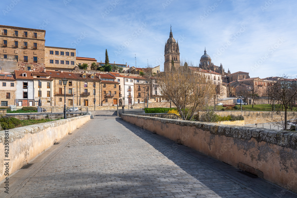 Roman Bridge and Salamanca Cathedral - Salamanca, Spain