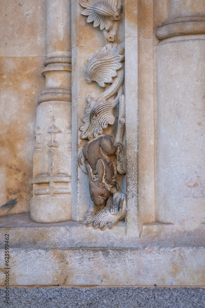 Rabbit Carving at Salamanca Cathedral Facade - Salamanca, Spain