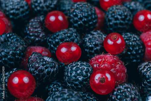 Macro shot of fresh berries. Red and black raspberries, red currants berries. Selective focus.