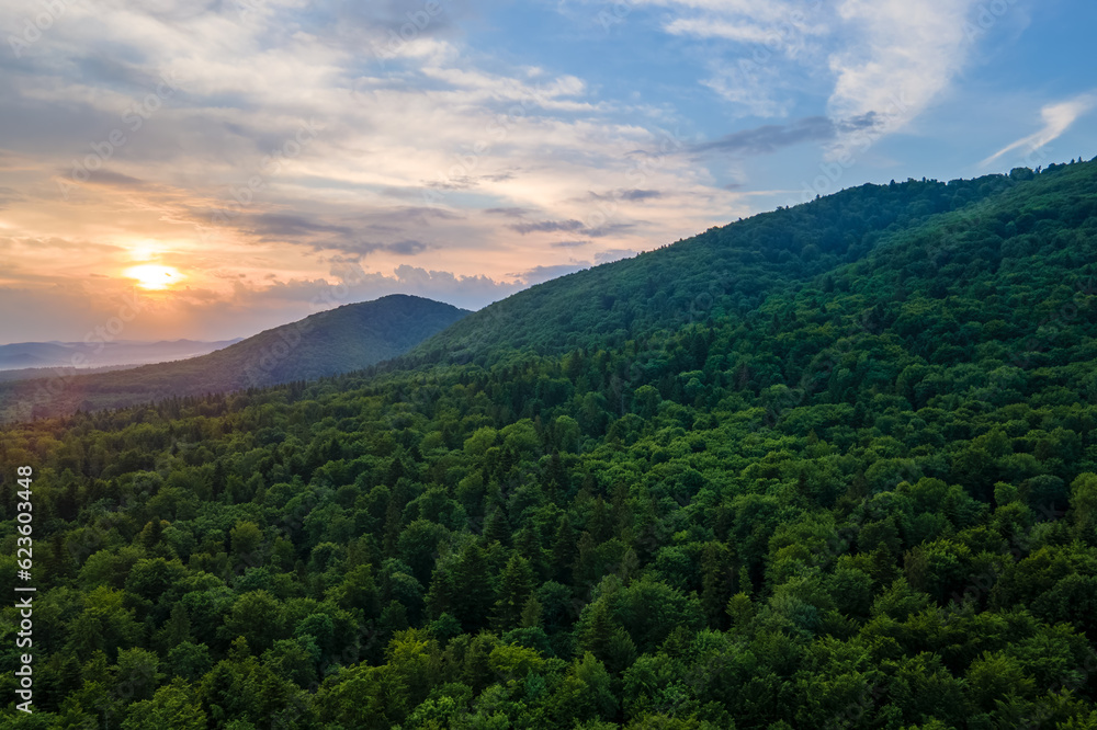 Aerial view of green pine forest with dark spruce trees covering mountain hills at sunset. Nothern woodland scenery from above