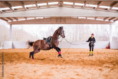 Dressage horse training on cord for equitation. Hispanic middle age woman on riding hall.