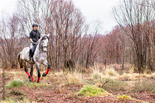 Classical dressage. Pure Spanish Andalusian horse gait. middle-aged Hispanic woman in firing school