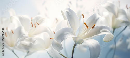 Beautiful white lilies on light background, symbol of gentleness, purity and virtue. closeup, digital ai