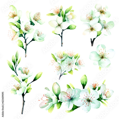 green cherry blossom flowers set