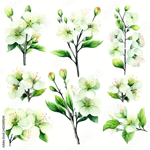green cherry blossom flowers set