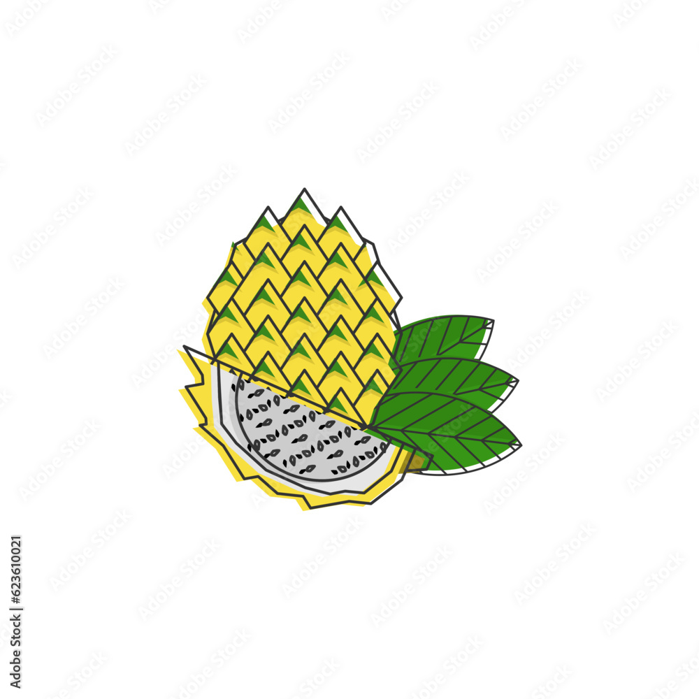 Vector group set of yellow and fresh dragon fruit Vector group set of yellow and fresh dragon fruit