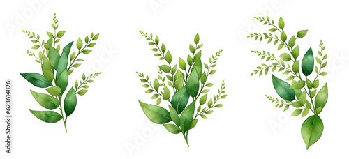 Watercolor green leaf branches collection for wedding and greetings on transparent background,generative ai © Nisit