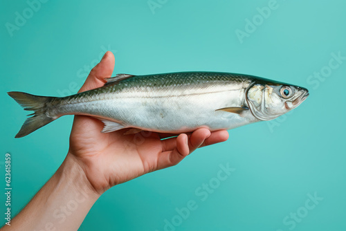 Hands holding fresh mackerel fish on pastel background, fresh food ingredients, Healthy food