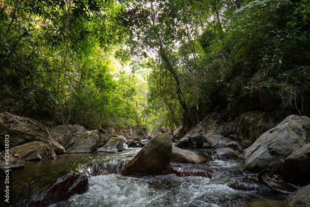 Fototapeta premium Dark Minca River with Rock, Rapids and Covered by Lush Sub Tropical Vegetation