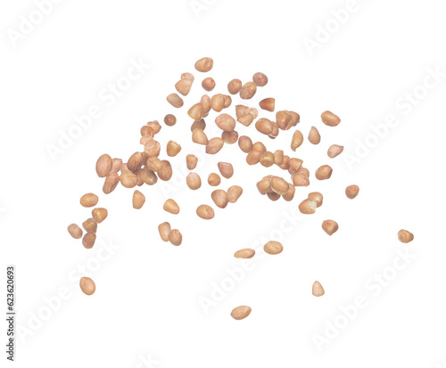Peanut flying explosion, brown grain peanuts explode abstract cloud fly. Beautiful complete seed pea peanut splash in air, food object design. Selective focus freeze shot white background isolated