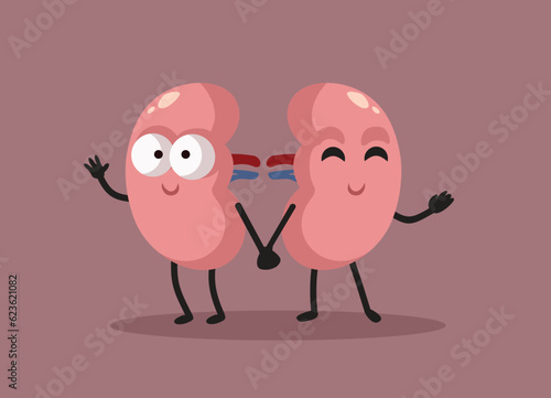 Happy Kidneys Holding Hands Vector Cartoon Characters. Cheerful internal organs having perfect health and function
