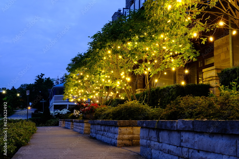 Quiet evening street with trees decorated with luminous lights summer evening