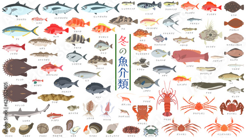 Photo 冬の魚介類のイラストセット。鮪、イセエビ、蟹、貝類など77種のイラスト。フラットなベクターイラストセット。 Illustration set of 77 winter seafood types including tuna, lobster, crab, shellfish, and more