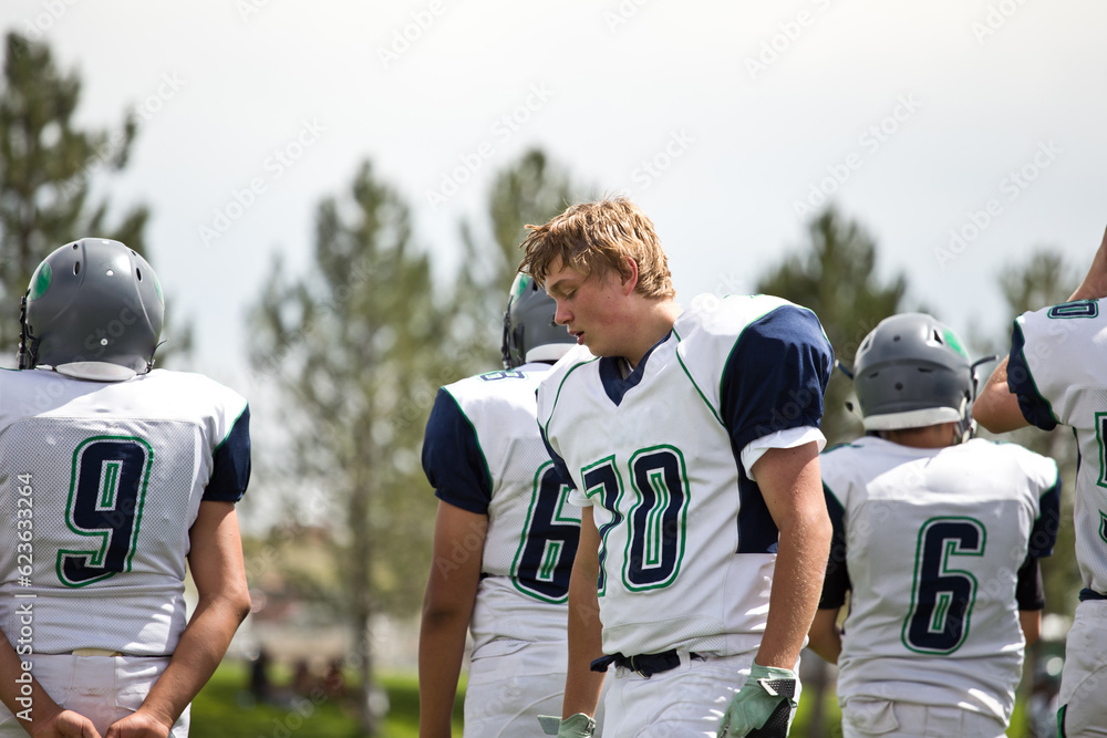 Fototapeta premium Football players