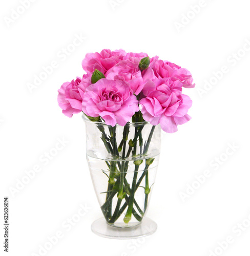 Fototapeta Naklejka Na Ścianę i Meble -  Stack Carnations on white background