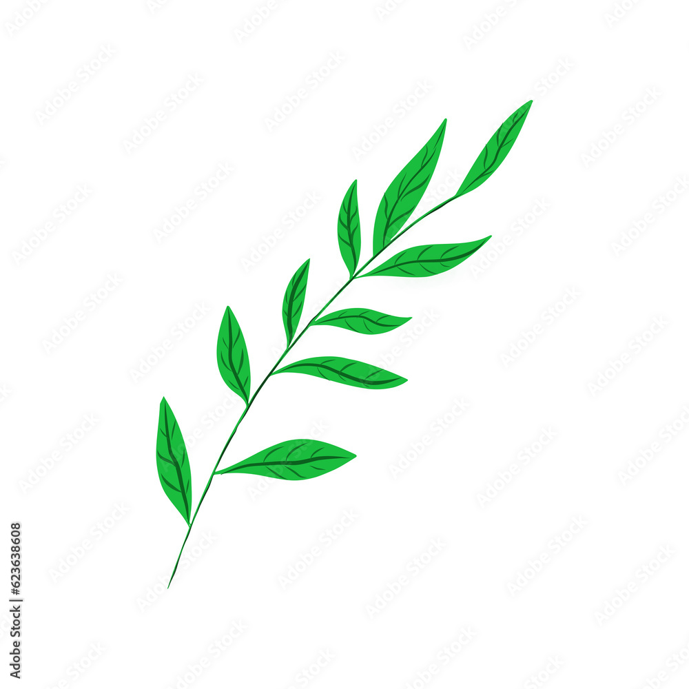 Obraz premium green leaves isolated on white