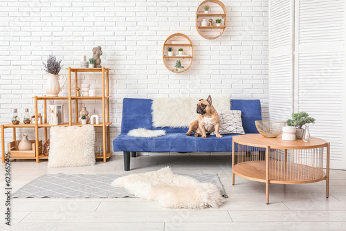 Obraz na plátně Cute French bulldog sitting on sofa in living room
