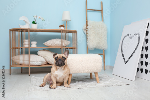 Cute French bulldog near po...