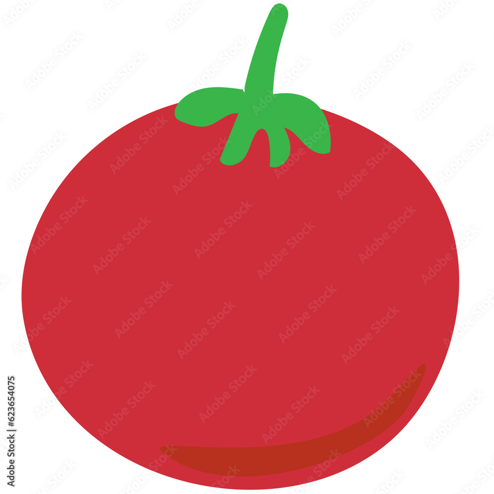 tomato illustration tomato illustration