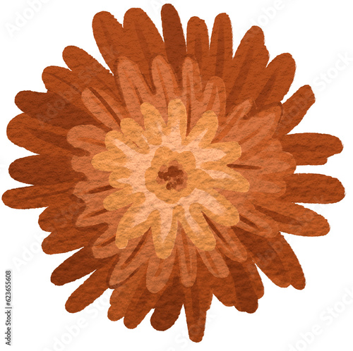 Autumn daisy digitally painted illustration