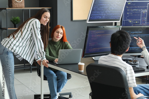 Software development team c...