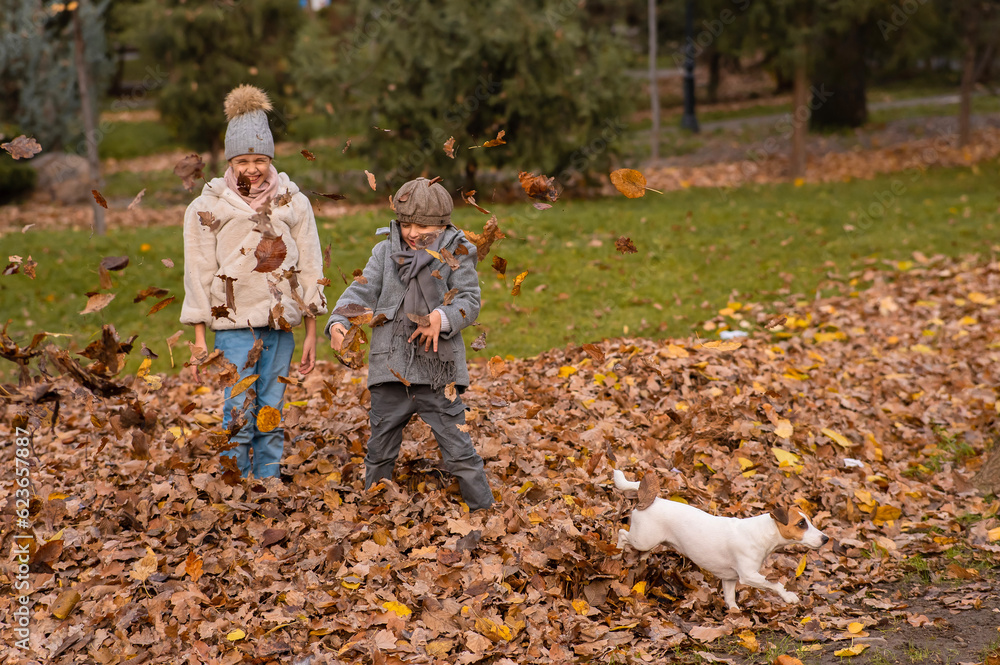 Fototapeta premium Caucasian children playing with dog jack russell terrier in autumn park. 