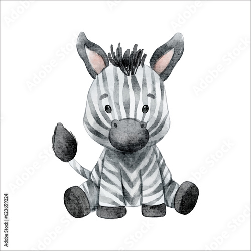 cute baby zebra watercolor illustration clipart