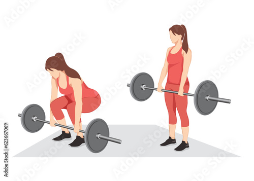 Woman doing barbell deadlifts exercise. flat vector illustration on white background