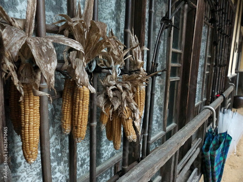 古民家の窓に干されたとうもろこし
