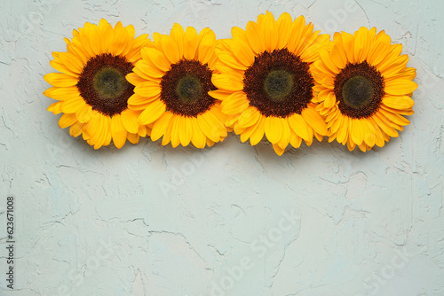 Beautiful sunflowers on grunge light blue background
