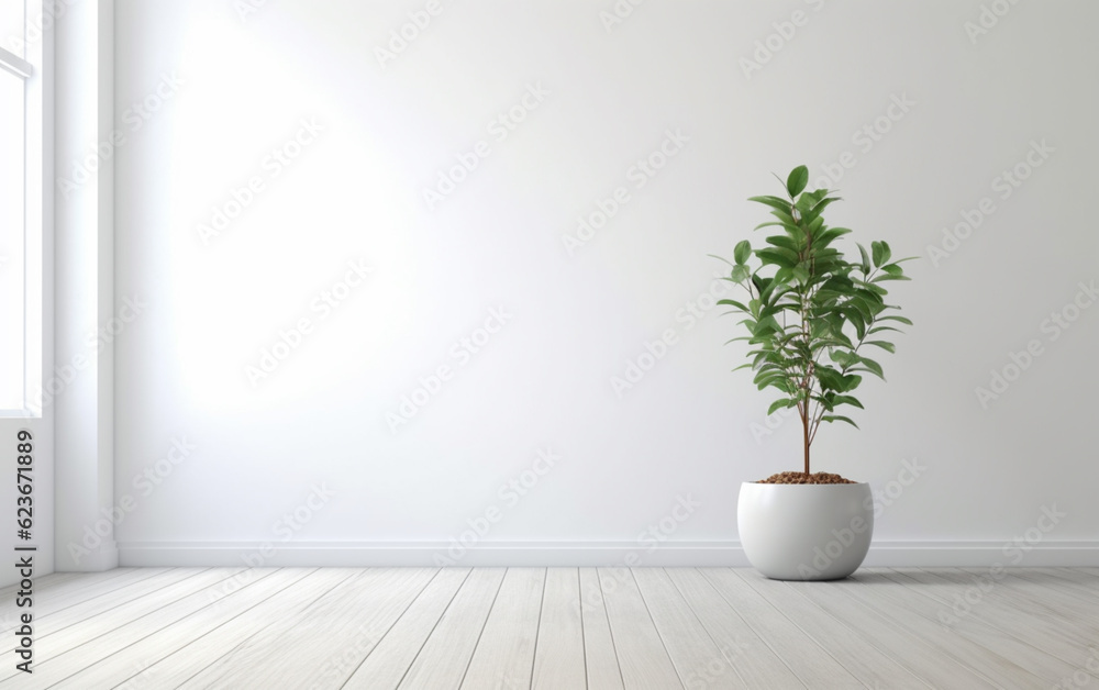 Empty white room interior with plant pot on a wooden floor